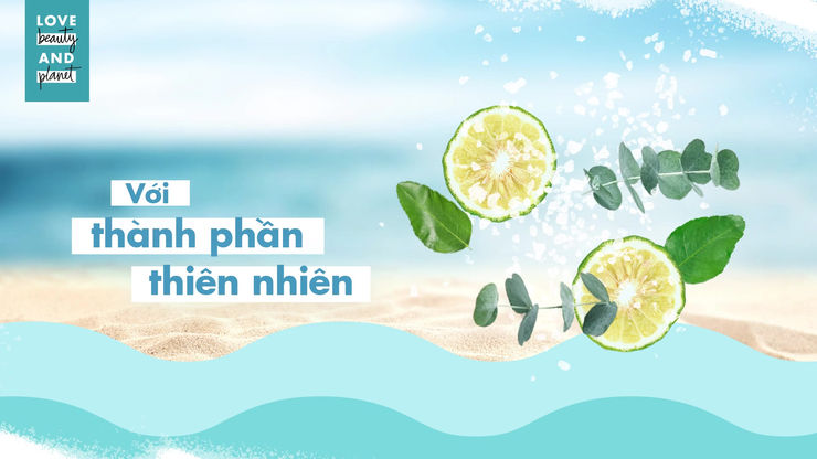 LB&P Ocean - Hair Care audiences